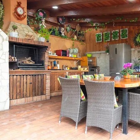 Origami (adults Only) *