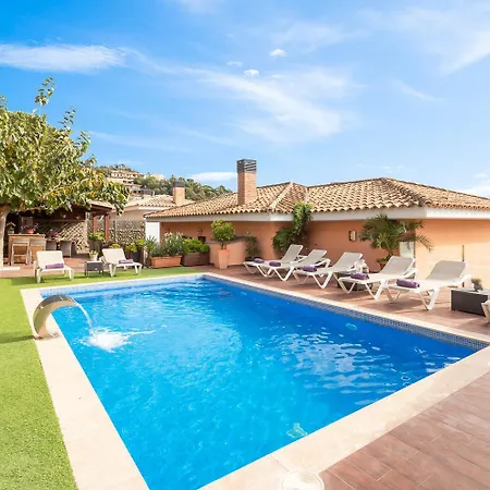 Origami (adults Only) *